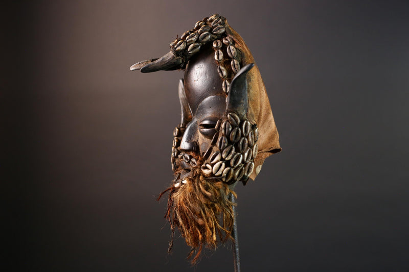 African Dan Cowrie Shell Mask Hand Carved Hardwood Ritual Art Decor from Ivory Coast with Buffalo Horn Accents for Home Display-G5650