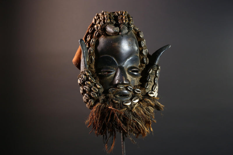 African Dan Cowrie Shell Mask Hand Carved Hardwood Ritual Art Decor from Ivory Coast with Buffalo Horn Accents for Home Display-G5650