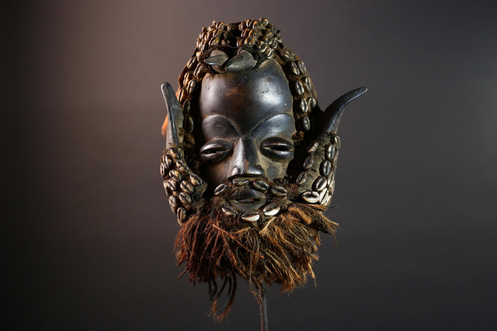 African Dan Cowrie Shell Mask Hand Carved Hardwood Ritual Art Decor from Ivory Coast with Buffalo Horn Accents for Home Display-G5650