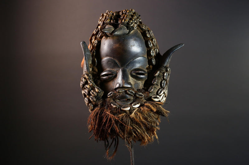African Dan Cowrie Shell Mask Hand Carved Hardwood Ritual Art Decor from Ivory Coast with Buffalo Horn Accents for Home Display-G5650