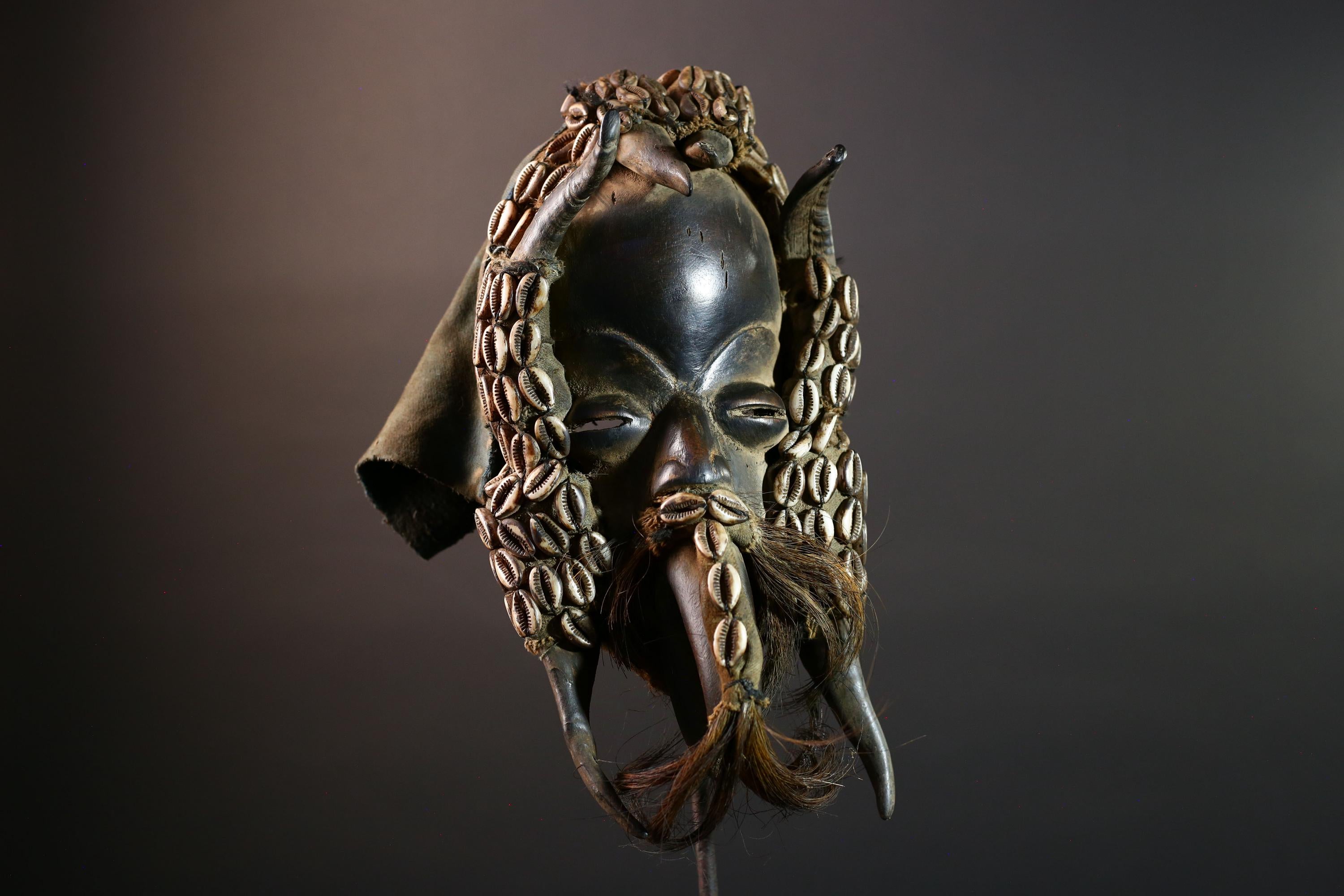 Authentic Dan Tribal Mask Hand-Carved Wood & Cowrie Shells – African Ethnic Wall Décor, Handmade Côte d’Ivoire Ritual Art, Fiber Beard-G5650