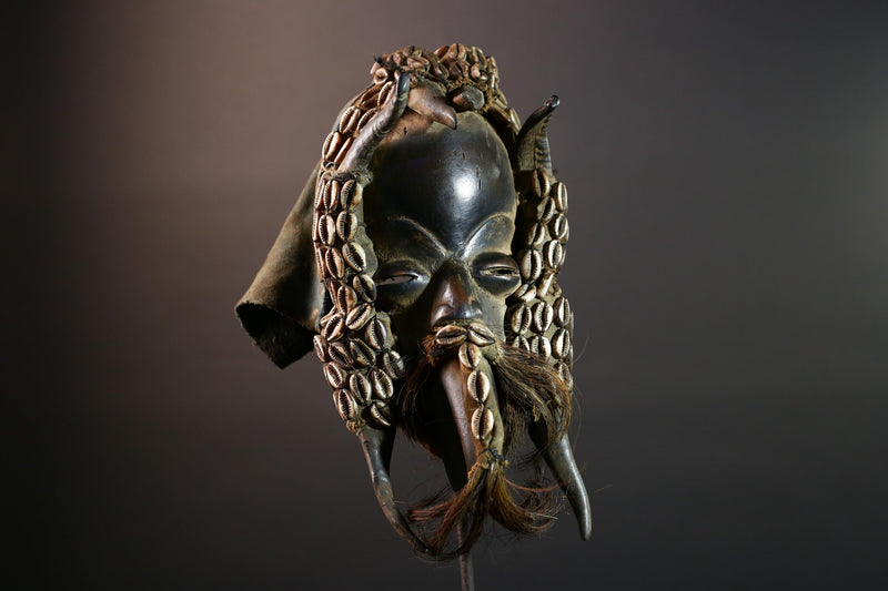 Authentic Dan Tribal Mask Hand-Carved Wood & Cowrie Shells – African Ethnic Wall Décor, Handmade Côte d’Ivoire Ritual Art, Fiber Beard-G5650