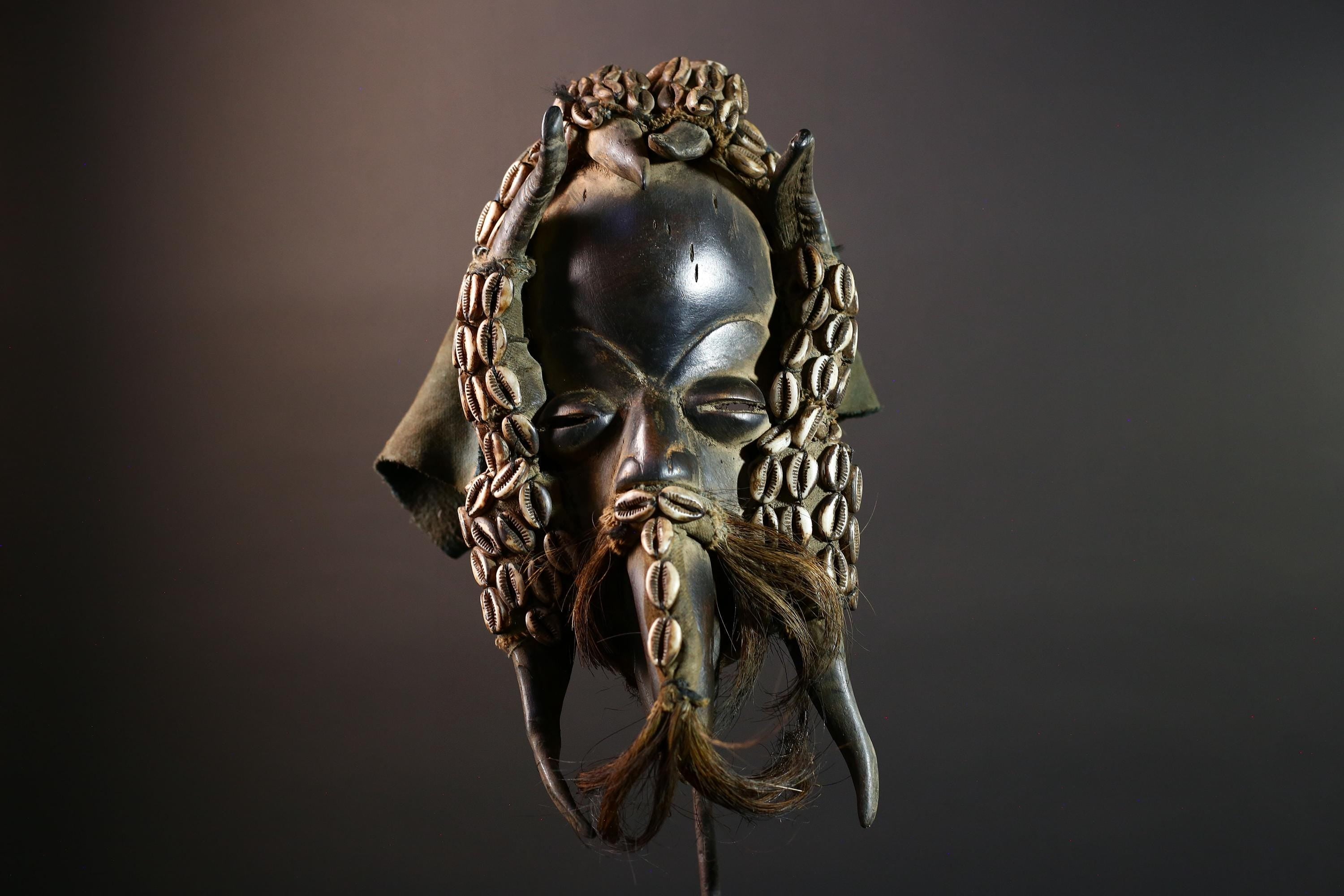 Authentic Dan Tribal Mask Hand-Carved Wood & Cowrie Shells – African Ethnic Wall Décor, Handmade Côte d’Ivoire Ritual Art, Fiber Beard-G5650