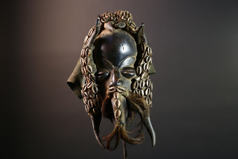 Authentic Dan Tribal Mask Hand-Carved Wood & Cowrie Shells – African Ethnic Wall Décor, Handmade Côte d’Ivoire Ritual Art, Fiber Beard-G5650