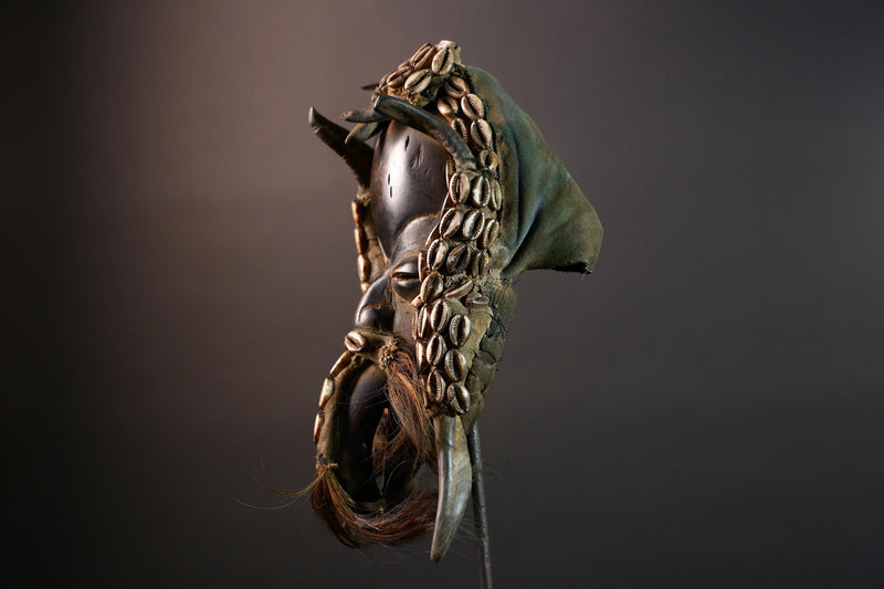 Authentic Dan Tribal Mask Hand-Carved Wood & Cowrie Shells – African Ethnic Wall Décor, Handmade Côte d’Ivoire Ritual Art, Fiber Beard-G5650