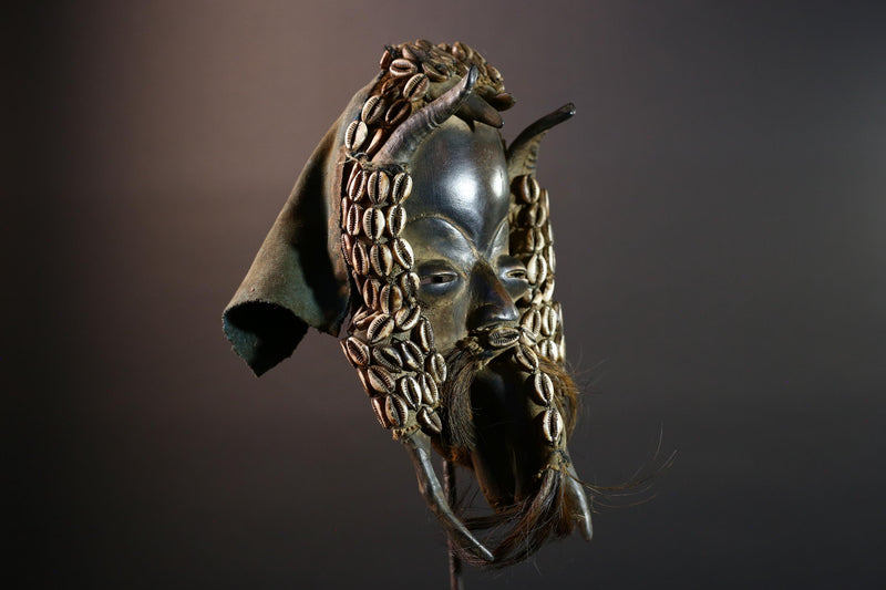Authentic Dan Tribal Mask Hand-Carved Wood & Cowrie Shells – African Ethnic Wall Décor, Handmade Côte d’Ivoire Ritual Art, Fiber Beard-G5650