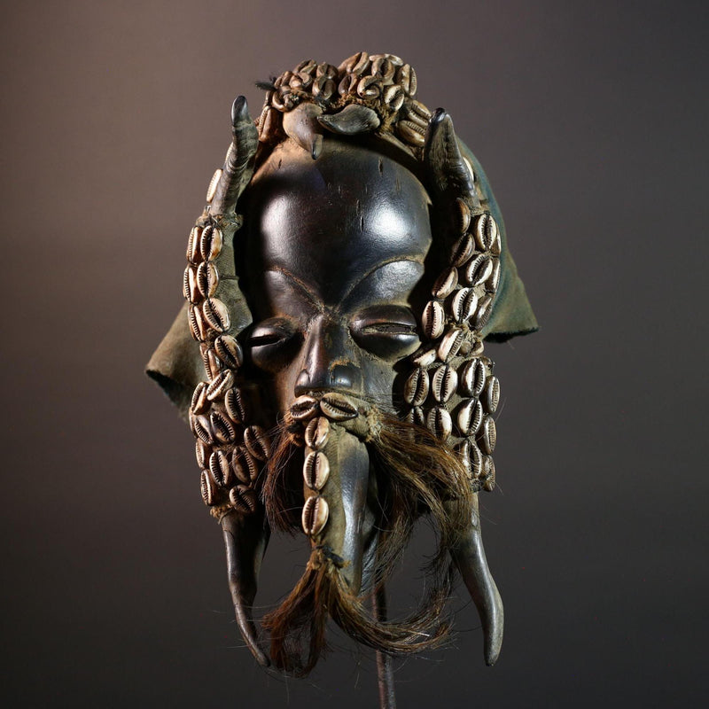 Authentic Dan Tribal Mask Hand-Carved Wood & Cowrie Shells – African Ethnic Wall Décor, Handmade Côte d’Ivoire Ritual Art, Fiber Beard-G5650
