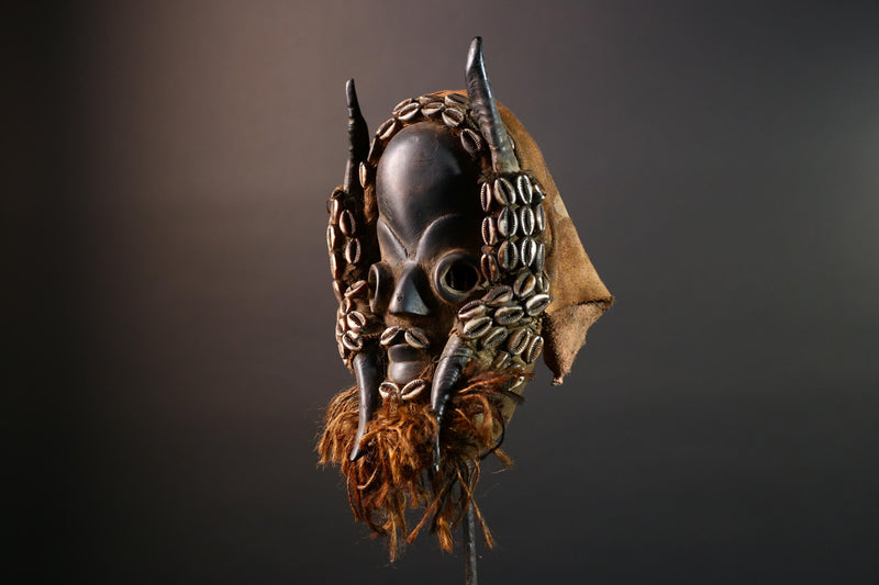 Vintage African Dan Mask with Cowrie Shells & Raffia Beard – Hand-Carved Hardwood Ritual Art from Côte d’Ivoire -G5652