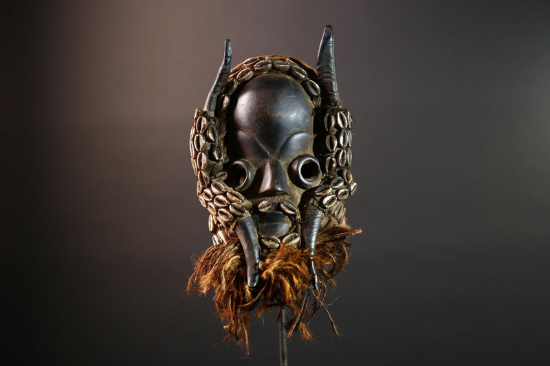 Vintage African Dan Mask with Cowrie Shells & Raffia Beard – Hand-Carved Hardwood Ritual Art from Côte d’Ivoire -G5652