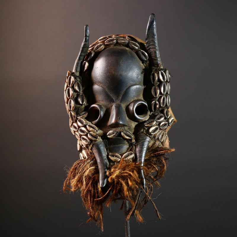 Vintage African Dan Mask with Cowrie Shells & Raffia Beard – Hand-Carved Hardwood Ritual Art from Côte d’Ivoire -G5652