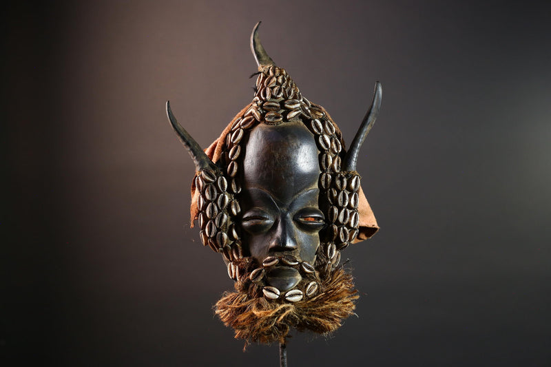 African Dan Tribal Mask Hand Carved Wood Cowrie Shell Raffia Beard Horns Authentic Cote dIvoire Ritual Art Decor Cultural Heritage-G5650