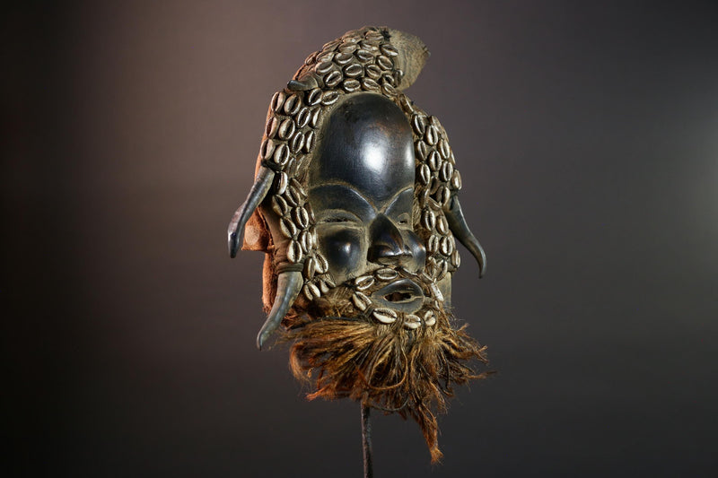 African Dan Horned Cowrie Shell Mask Carved Wood Tribal Face Liberia Ritual Art Decor Collectible Spiritual Ceremony Authentic New-G5664