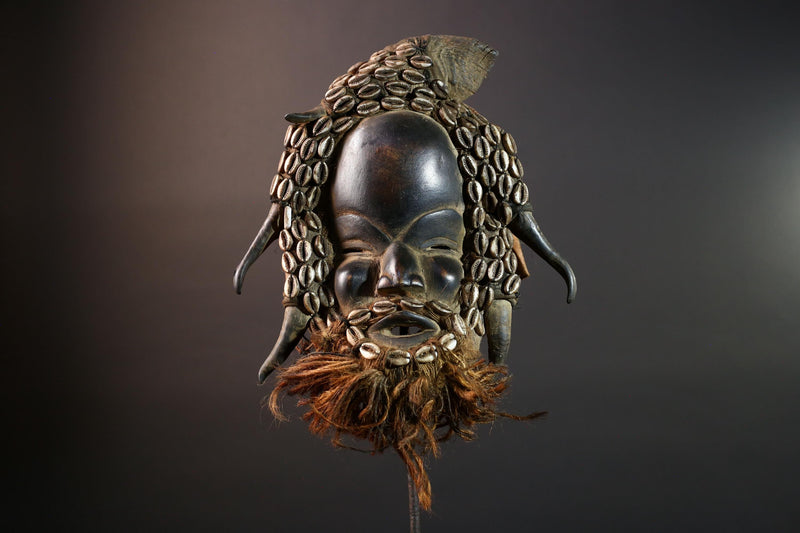 African Dan Horned Cowrie Shell Mask Carved Wood Tribal Face Liberia Ritual Art Decor Collectible Spiritual Ceremony Authentic New-G5664
