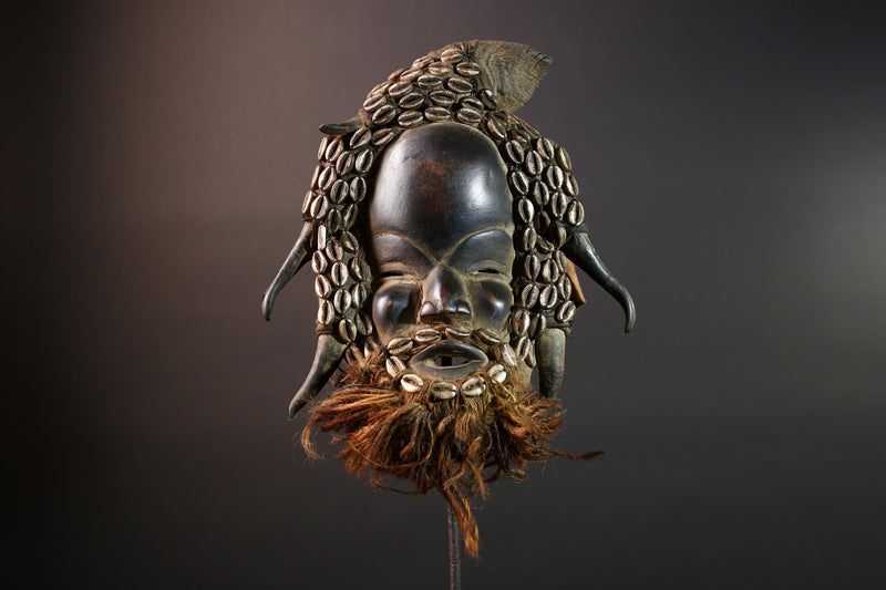 African Dan Horned Cowrie Shell Mask Carved Wood Tribal Face Liberia Ritual Art Decor Collectible Spiritual Ceremony Authentic New-G5664
