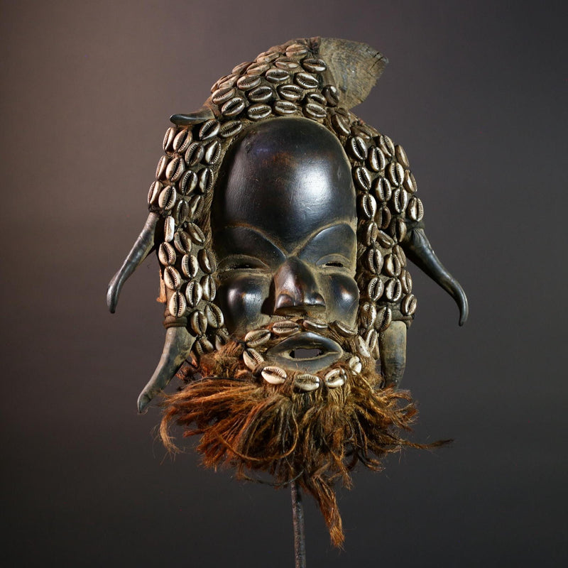 African Dan Horned Cowrie Shell Mask Carved Wood Tribal Face Liberia Ritual Art Decor Collectible Spiritual Ceremony Authentic New-G5664