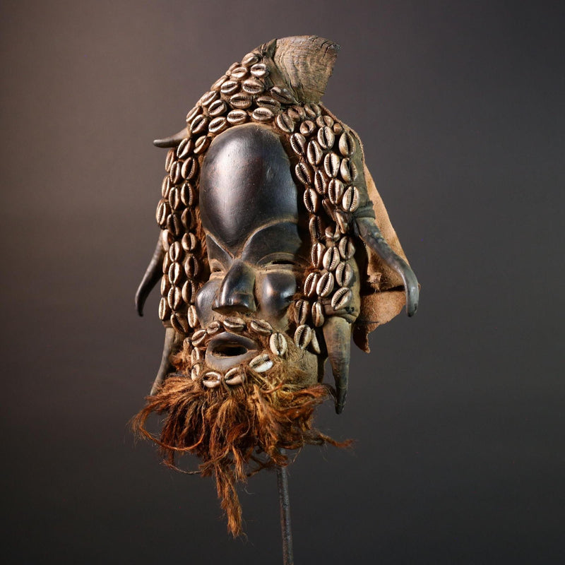 African Dan Horned Cowrie Shell Mask Carved Wood Tribal Face Liberia Ritual Art Decor Collectible Spiritual Ceremony Authentic New-G5664