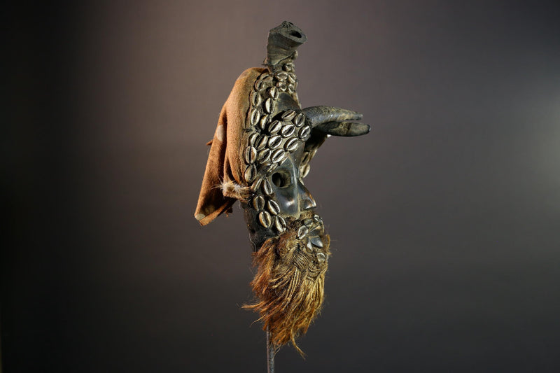 African Dan Antelope Mask Tribal Carved Wood Face Côte d’Ivoire Cowrie Beard Horns Ritual Wall Art Decor Mask African-G5671