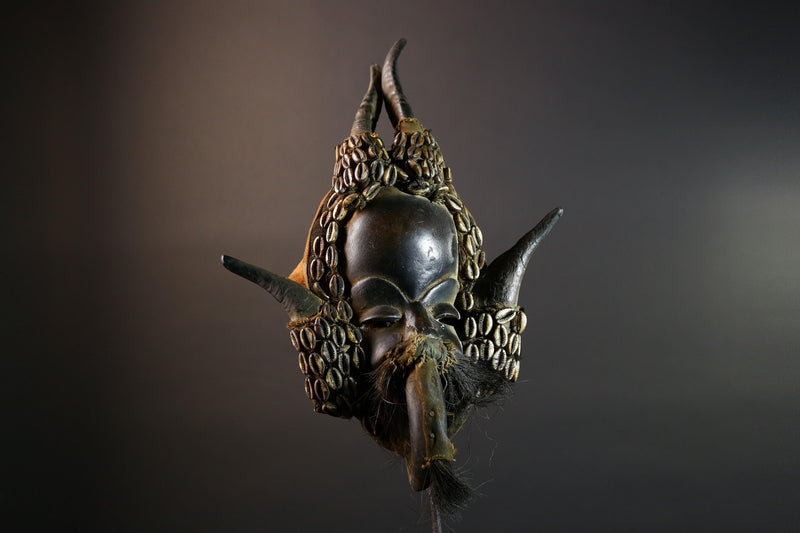 African Dan Mask Antelope Horn Headdress Carved Wood Tribal Face Côte d’Ivoire Wall Art Cowrie Shell Beard Decor-G5672