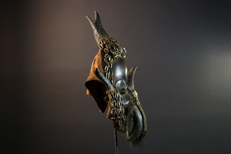 African Dan Mask Antelope Horn Headdress Carved Wood Tribal Face Côte d’Ivoire Wall Art Cowrie Shell Beard Decor-G5672