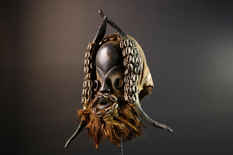 African Dan Mask Cowrie Shells Wood Face Antelope Horns Raffia Beard Tribal Art Decor from Liberia | Authentic Cultural Relic-G5673