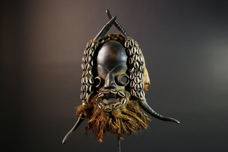 African Dan Mask Cowrie Shells Wood Face Antelope Horns Raffia Beard Tribal Art Decor from Liberia | Authentic Cultural Relic-G5673
