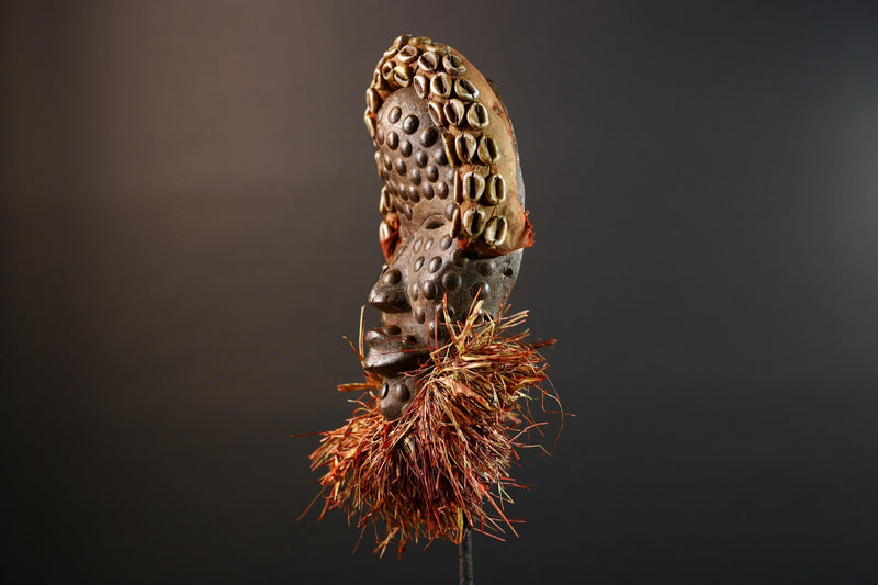 African tribal mask Dan cowrie dotted face raffia beard wall art decorative wood carving home decor cultural accent sculpture vintage-G5676