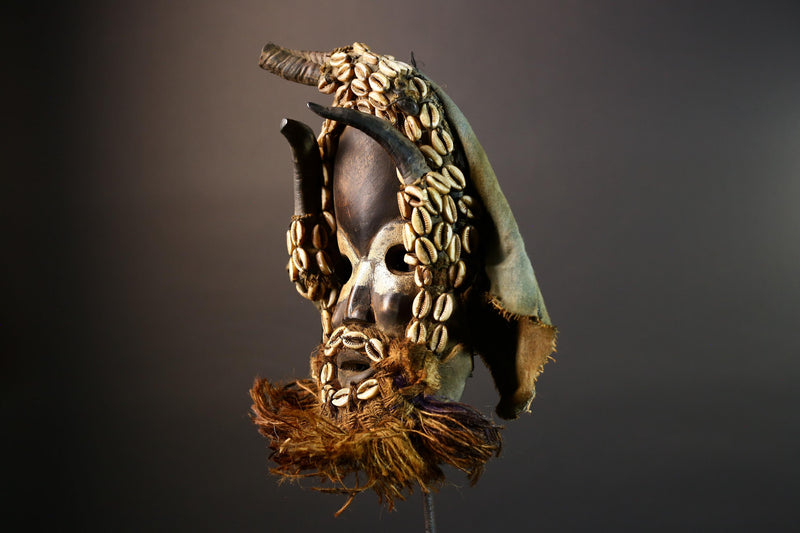 African tribal mask Dan cowrie dotted face raffia beard wall art decorative wood carving home decor cultural accent sculpture vintage-G5676