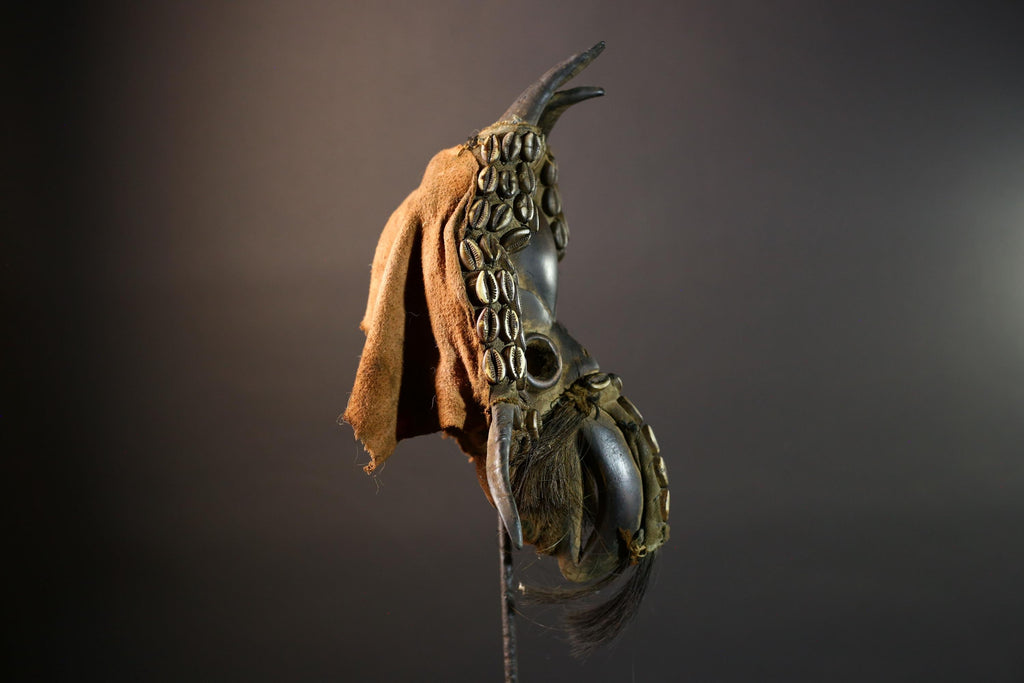 African Mask Cowrie Shell Warrior Tribal Wall Art Boho Decor, Hand-Carved Hardwood Mask with Animal Hair Beard Ethnic Home Accent Mask-G5687