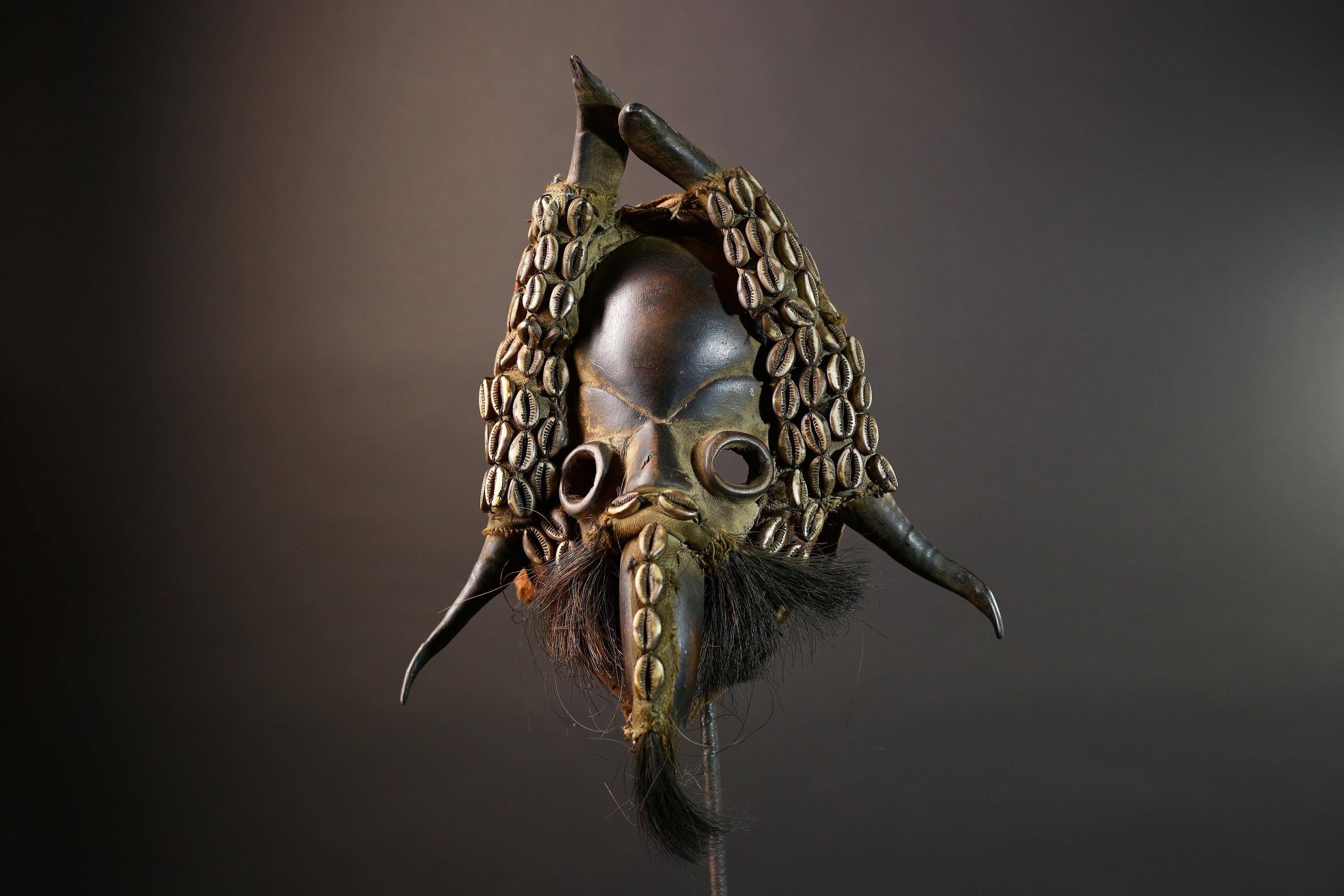 African Mask Cowrie Shell Warrior Tribal Wall Art Boho Decor, Hand-Carved Hardwood Mask with Animal Hair Beard Ethnic Home Accent Mask-G5687