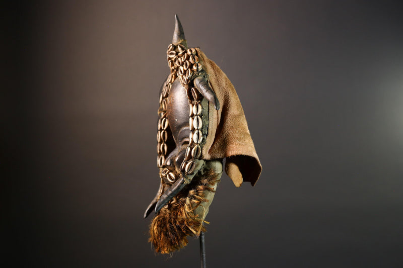 African Dan Wooden Mask with Cowrie Shells Horn Raffia Beard Cloth Backing Tribal Art Decor Home Wall Sculpture Vintage Rare Gift!-G5688