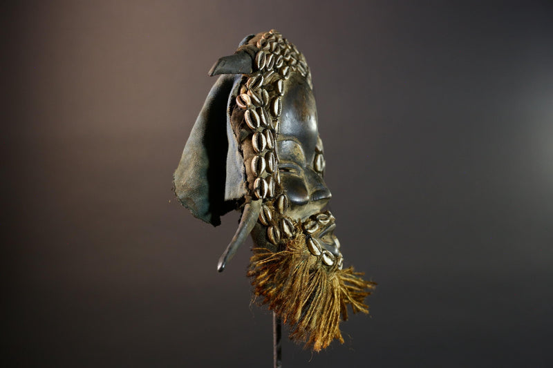 African Dan Wooden Mask Cowrie Shells Antelope Horn Raffia Beard Cloth Backing Tribal Art Home Decor Vintage Rare Gift Handmade-G5690