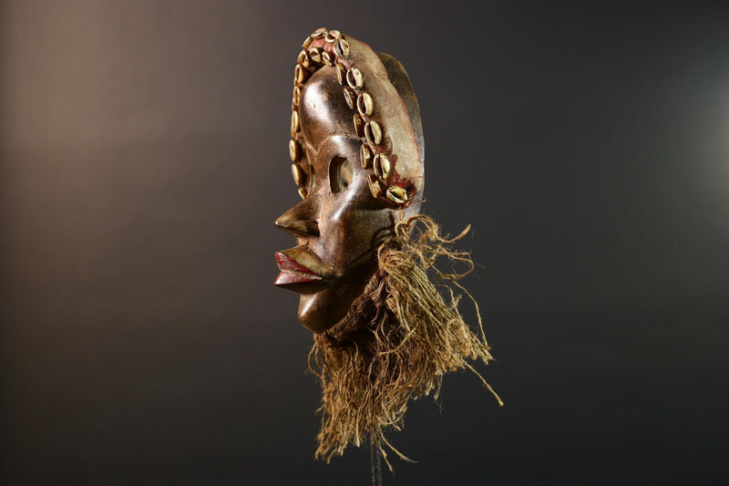 African Dan Mask Hand Carved Cowrie Shell Rustic Tribal Wall Decor Art Sculpture Gallery Display Very Unique Home Accent Wood Carving-G5696
