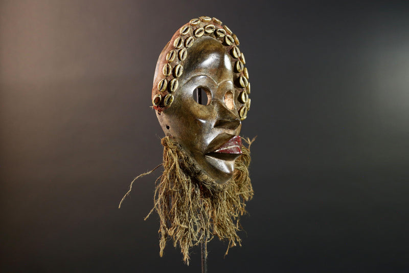 African Dan Mask Hand Carved Cowrie Shell Rustic Tribal Wall Decor Art Sculpture Gallery Display Very Unique Home Accent Wood Carving-G5696