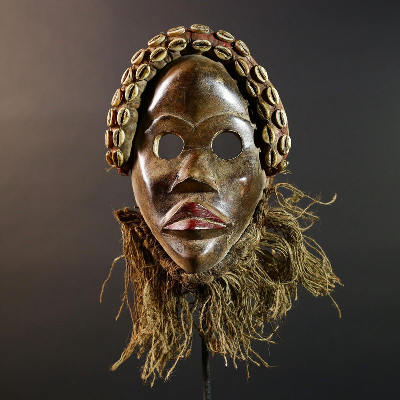 African Dan Mask Hand Carved Cowrie Shell Rustic Tribal Wall Decor Art Sculpture Gallery Display Very Unique Home Accent Wood Carving-G5696