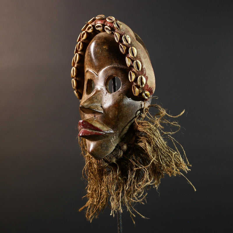 African Dan Mask Hand Carved Cowrie Shell Rustic Tribal Wall Decor Art Sculpture Gallery Display Very Unique Home Accent Wood Carving-G5696