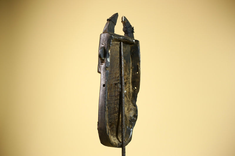 African Senufo Mask Carved Wood Horned Metal Studs Ivory Coast Tribal Art-G5840