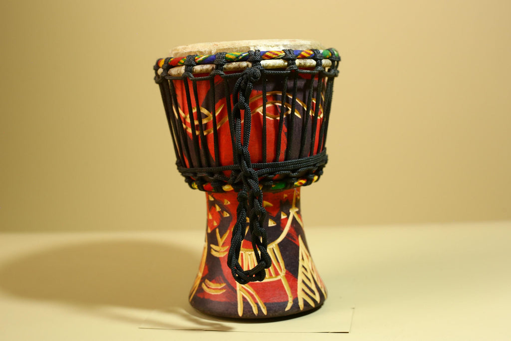 African Djembe Drum Carved Wood Rope Tuned Hand Drum Tribal Art Decor-G5942