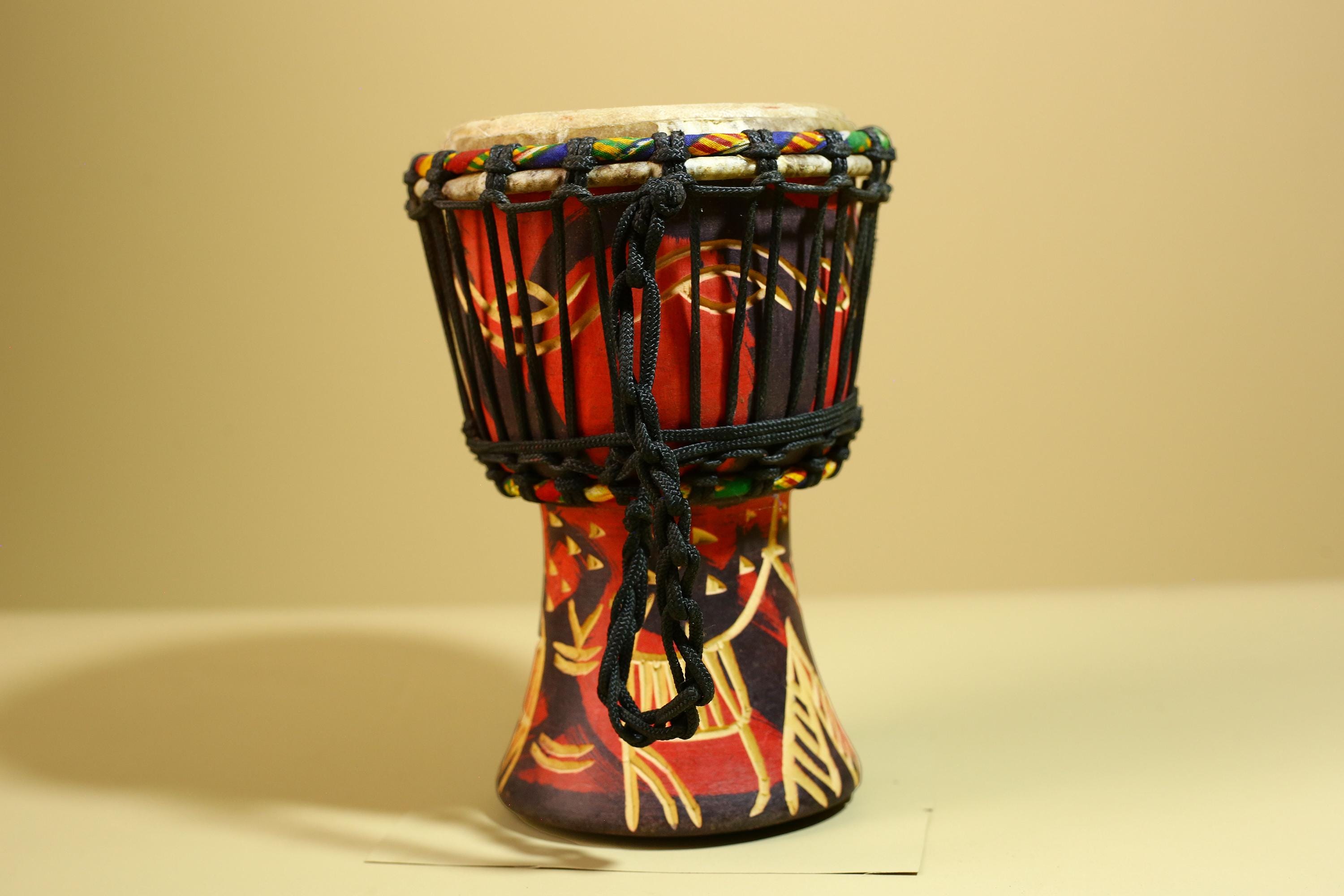 African Djembe Drum Carved Wood Rope Tuned Hand Drum Tribal Art Decor-G5942
