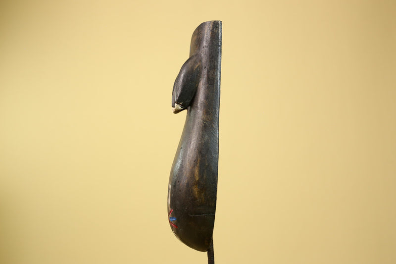 African Dan Torso Mask Carved Wood Painted Details West Africa Tribal Art-G5961