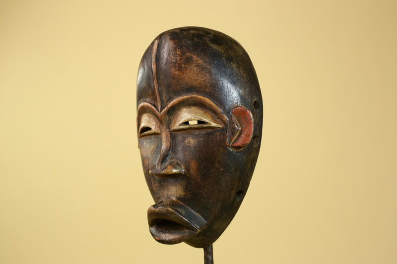 African Dan Mask Carved Wood Domed Face Liberia Tribal Art Wall Display-G5965