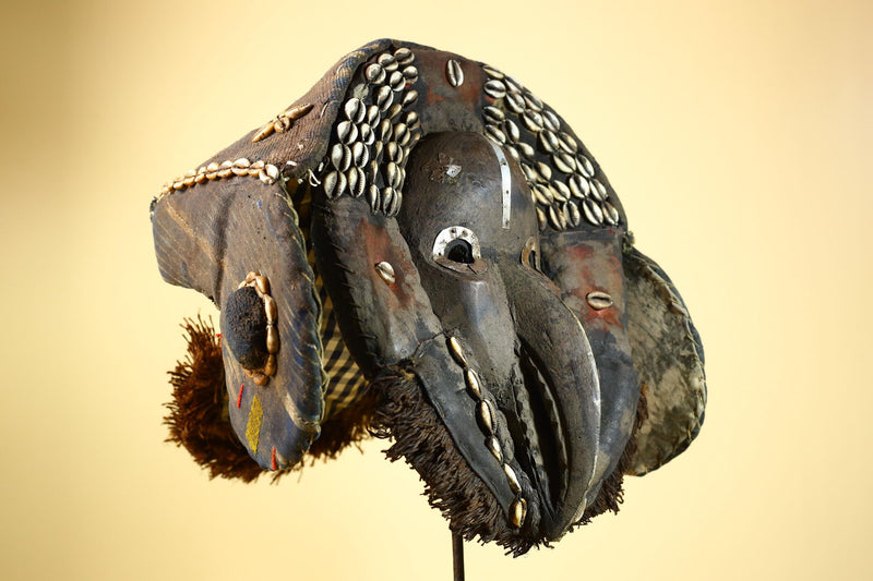 African Dan Mask Carved Wood Bird Beak Cowrie Trim Côte d’Ivoire Decor-G5987
