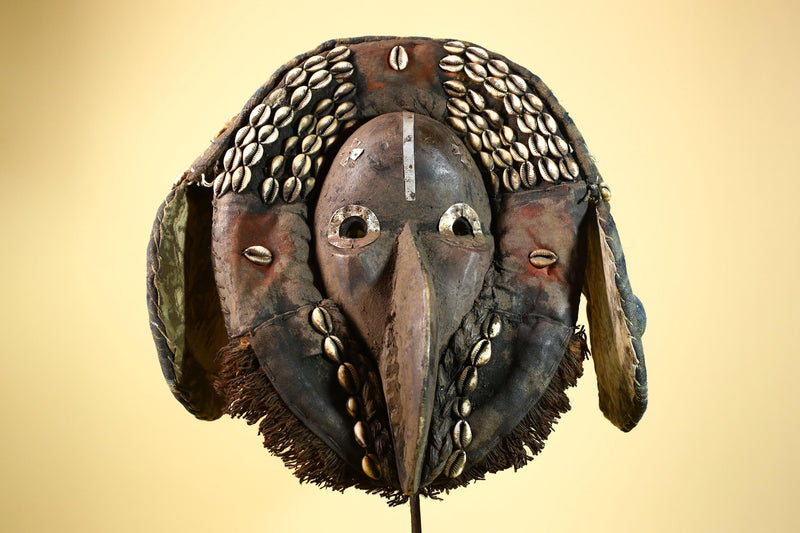 African Dan Mask Carved Wood Bird Beak Cowrie Trim Côte d’Ivoire Decor-G5987