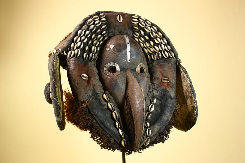 African Dan Mask Carved Wood Bird Beak Cowrie Trim Côte d’Ivoire Decor-G5987