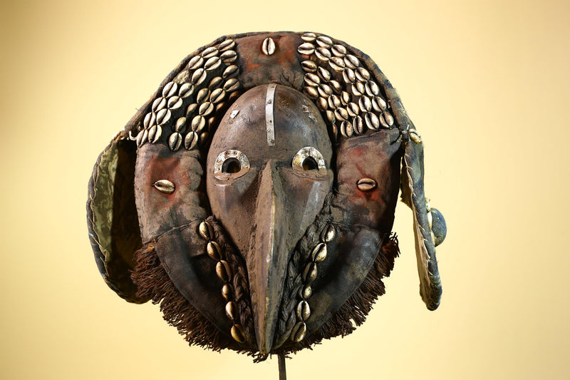 African Dan Mask Carved Wood Bird Beak Cowrie Trim Côte d’Ivoire Decor-G5987