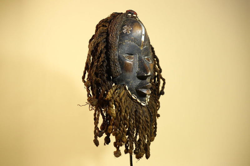 African Antique Dan Mask With Cowrie Beard & Braided Fiber Hair Tribal Art-G6034