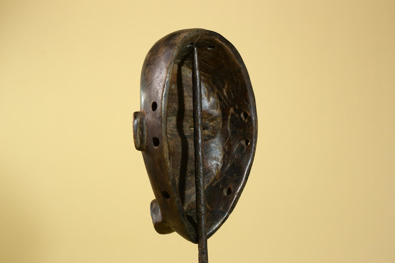 African Dan Mask Carved Wood Domed Face Liberia Tribal Art Wall Display-G5965