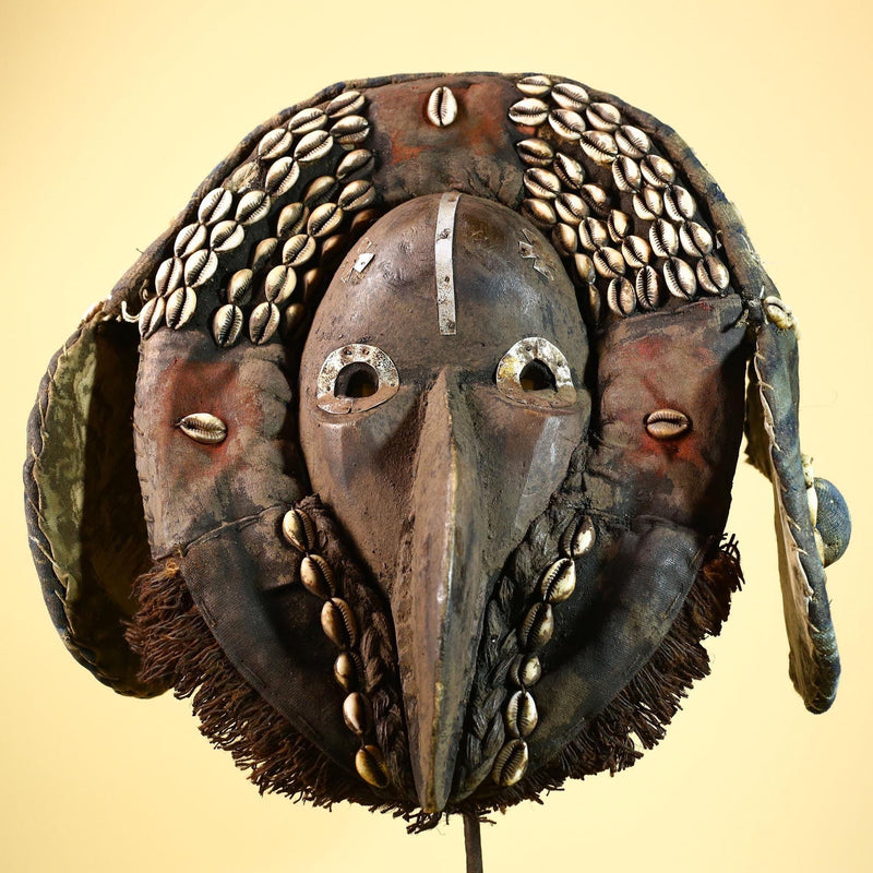 African Dan Mask Carved Wood Bird Beak Cowrie Trim Côte d’Ivoire Decor-G5987