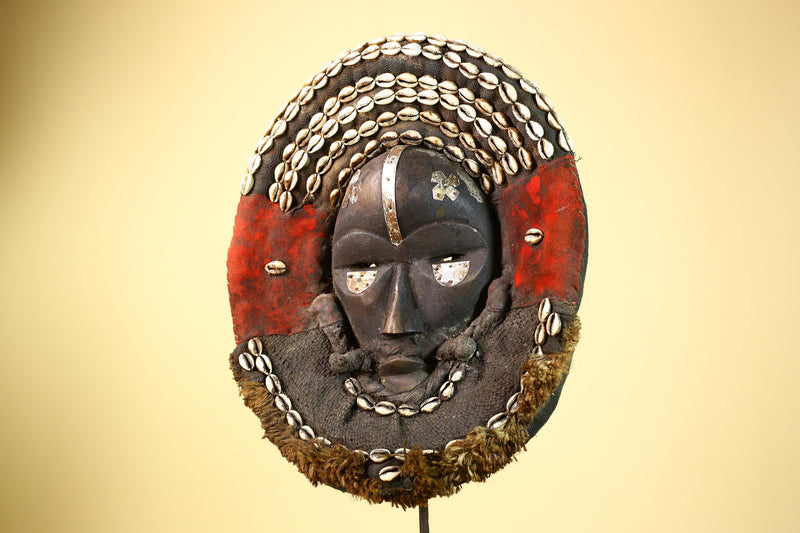 African Dan Tribal Mask Cowrie Shells Red Cloth Ceremonial Art Mask -G5997