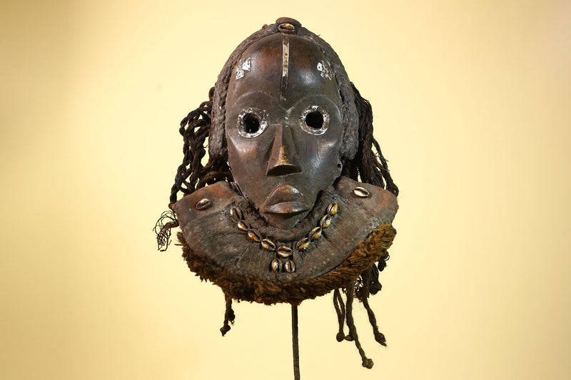 Authentic Carved African Dan Cowrie Shell Adorned Wood Mask with Fiber Hair-G6009