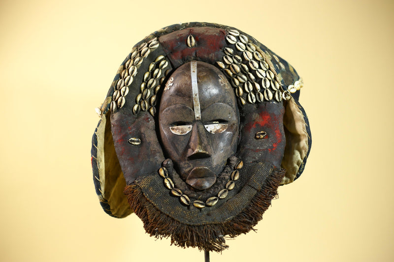 African Antique Dan Mask Côte d'Ivoire Cowrie Headpiece Wood Carved Tribal-G6014
